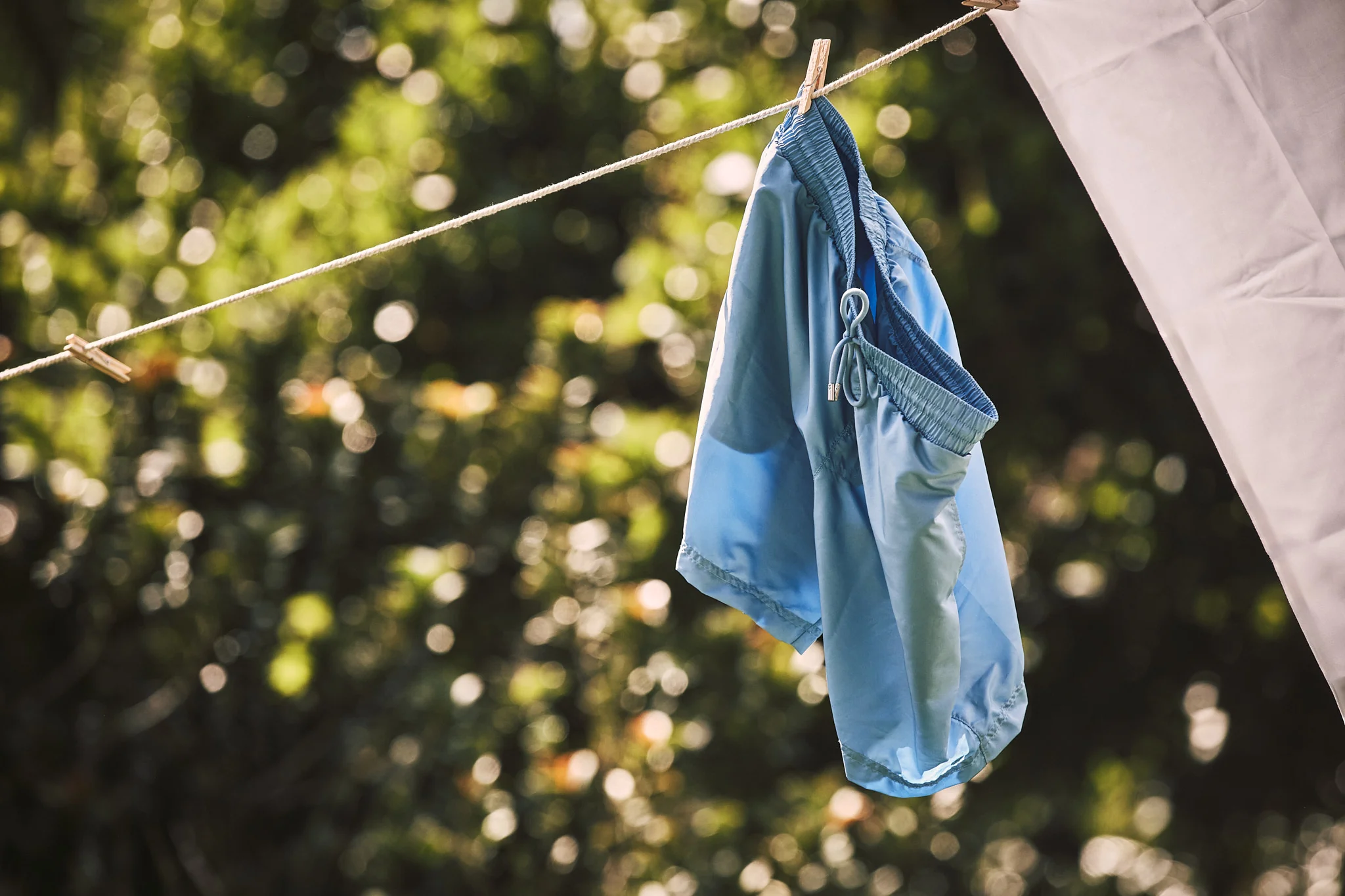 Dexter Swim Shorts - Image 4